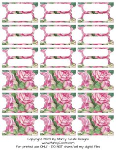 pink roses with green leaves are arranged in rows