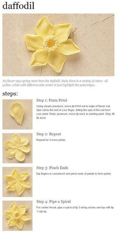 the instructions for how to make daffodil flowers