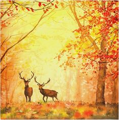 two deer standing next to each other in a forest with autumn leaves on the ground