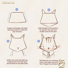 instructions for how to draw a cat's head