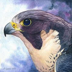 a painting of an eagle with blue and yellow eyes on it's head, looking to the left