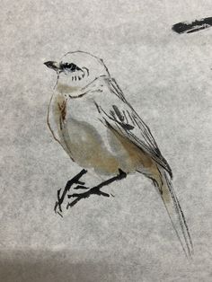 a drawing of a bird sitting on top of a table next to a piece of paper