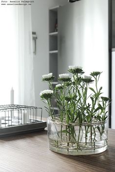 some white flowers in a glass vase on a table