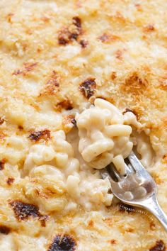 a fork with macaroni and cheese on it in a casserole dish