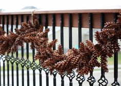 some pine cones are hanging on a fence