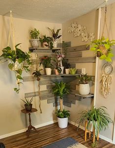 several houseplants are arranged on shelves in the corner of a room with wood flooring