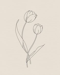 two tulips are shown in black and white on a beige background with the words,