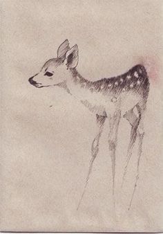 an ink drawing of a deer standing in the snow