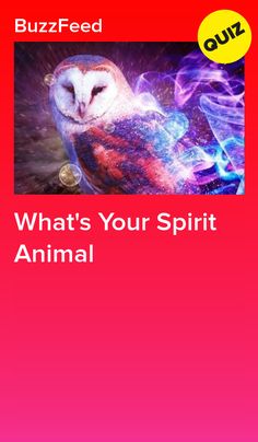 an owl with the words, what's your spirit animal?