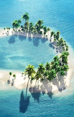 an island with palm trees in the middle