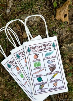 four nature walk packets sitting on the ground next to some leaves and grass, all labeled with names