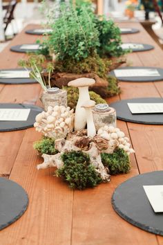 a long table covered in plants and mushrooms