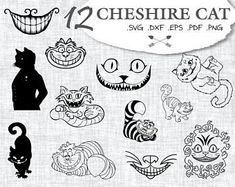 some black and white images of cats and other animal faces with the words, 2 cheeshire cat svg dxf files