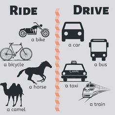 a poster with different types of cars and bikes on it, including a horse, a car