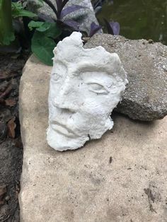 a rock with a face sitting on top of it