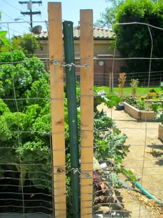 the fence is made out of wood and barbed wire, along with plants growing in it