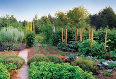 a garden filled with lots of different types of plants and vegetables next to each other