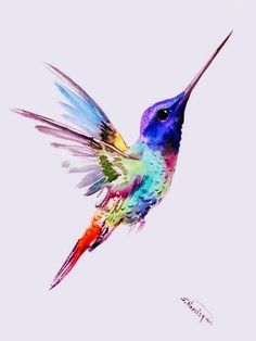 a colorful hummingbird flying in the sky with its wings spread out and it's beak