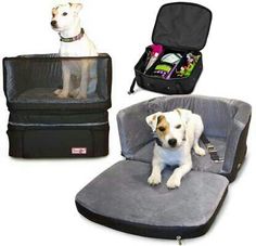 two dogs are sitting in their pet carriers