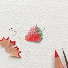 two pencils and a strawberry on white paper