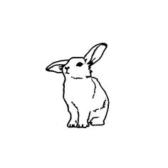 a black and white drawing of a rabbit