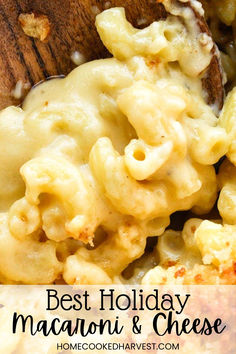 Up close of gooey mac and cheese. Baked Shells And Cheese, Christmas Mac And Cheese, Three Cheese Mac And Cheese, Thanksgiving Mac And Cheese, Decadent Dinner, Cheese Homemade