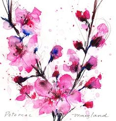 watercolor painting of pink flowers on white paper