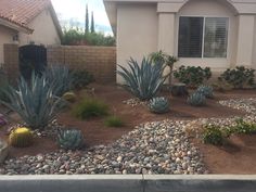 a house with rocks and cacti in the front yard, along with other plants