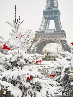 the eiffel tower is covered in snow with red berries hanging from it's branches