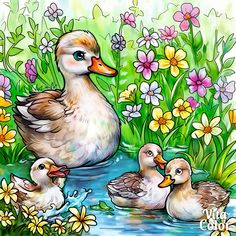 two ducks and three ducklings are in the water surrounded by wildflowers, daffodils and daisies