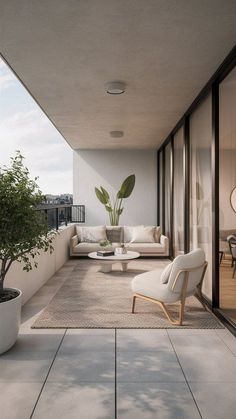 a living room filled with furniture and a potted plant