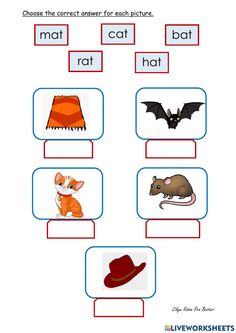 worksheet with pictures to help students learn the correct words