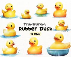 watercolor rubber ducks in different positions and sizes, with the text transparentment rubber duck 19 png