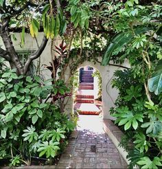 an archway between two buildings surrounded by greenery