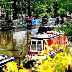 several boats are docked in the water near trees