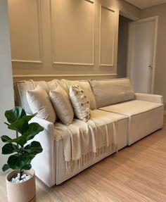 a white couch sitting on top of a hard wood floor next to a potted plant