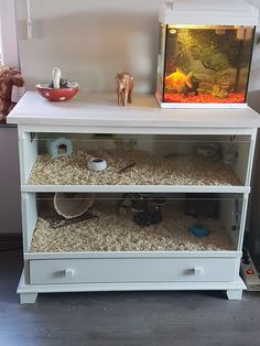 a fish tank sitting on top of a white shelf