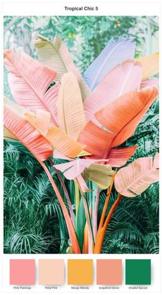 colorful tropical leaves are in the foreground with trees in the background