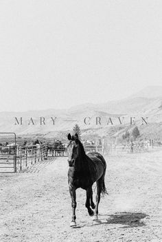 a black and white photo of a horse running in the dirt