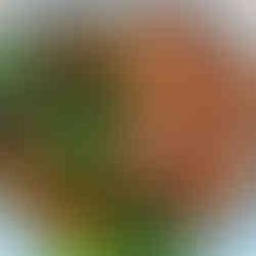 blurry image of an orange and green object