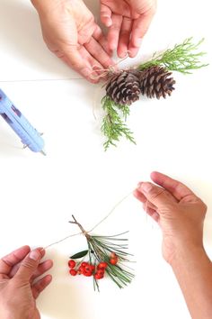 three hands are holding pine cones and berries on a white surface, while another hand is reaching for them