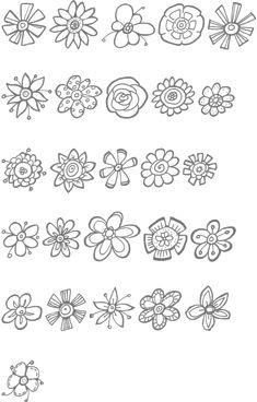 the different types of flowers are shown in black and white, with one line drawn on it