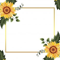 sunflowers with green leaves and gold frame in the middle on a white background