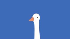 a white duck standing in front of a blue background