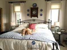 a dog laying on top of a bed in a bedroom