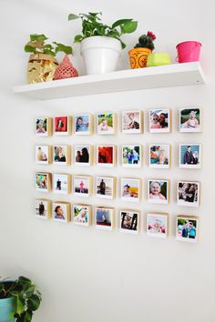 a white wall with several pictures on it and some potted plants in the corner