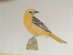 a drawing of a yellow bird sitting on top of a rock