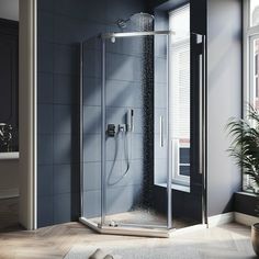 a bathroom with a walk in shower next to a potted plant on the floor