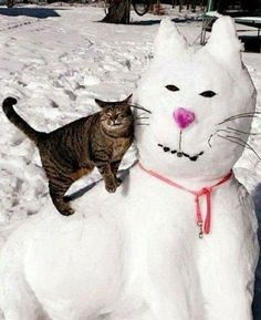 a cat standing on top of a snow man