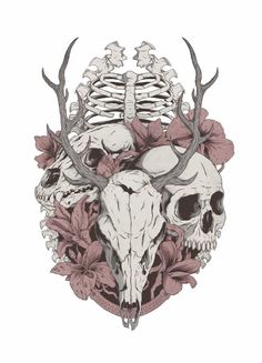 a drawing of a skull with antlers on it's head and flowers in the background